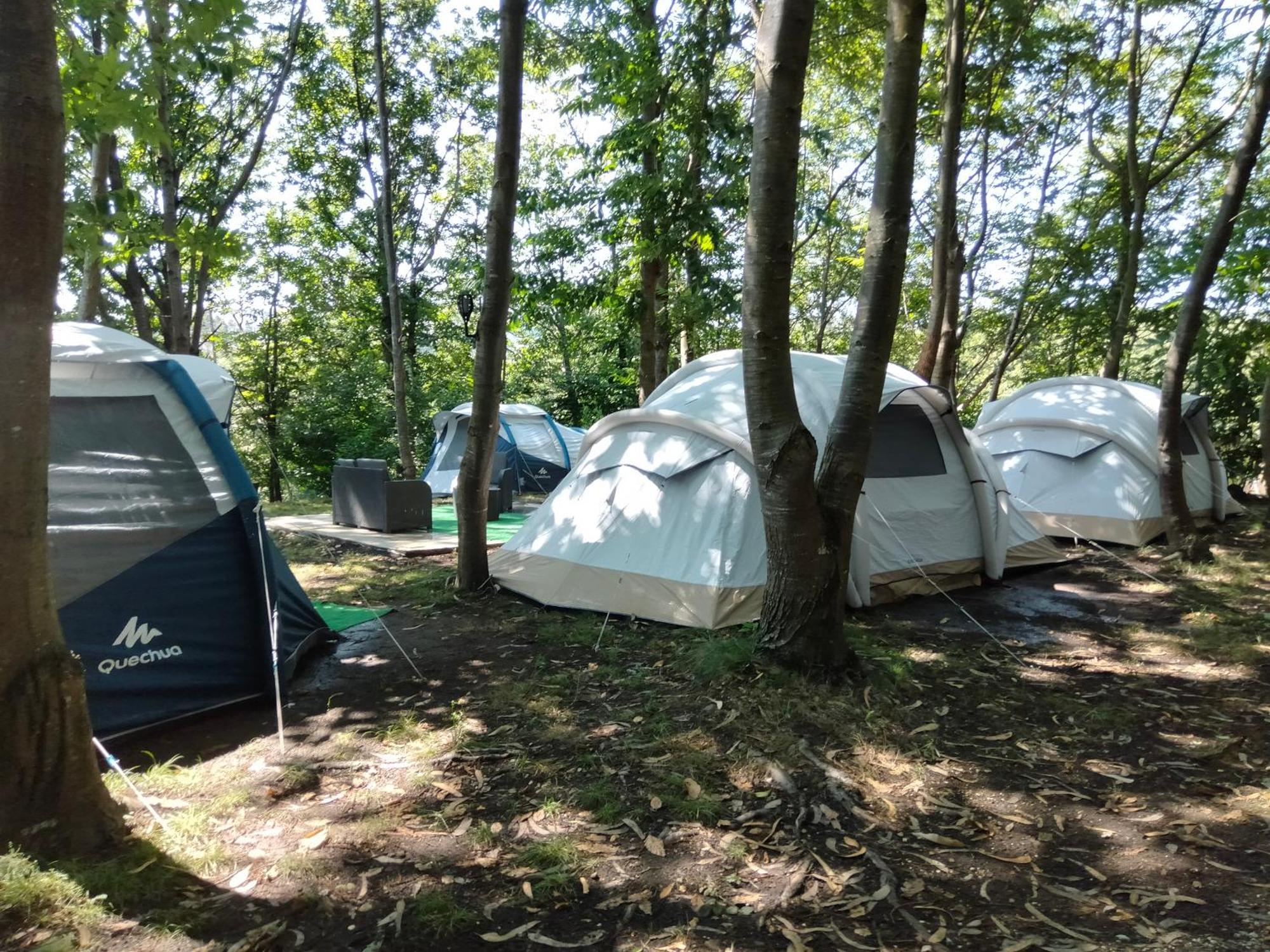 La Finca - Campamento En La Naturaleza Carranceja Zimmer foto