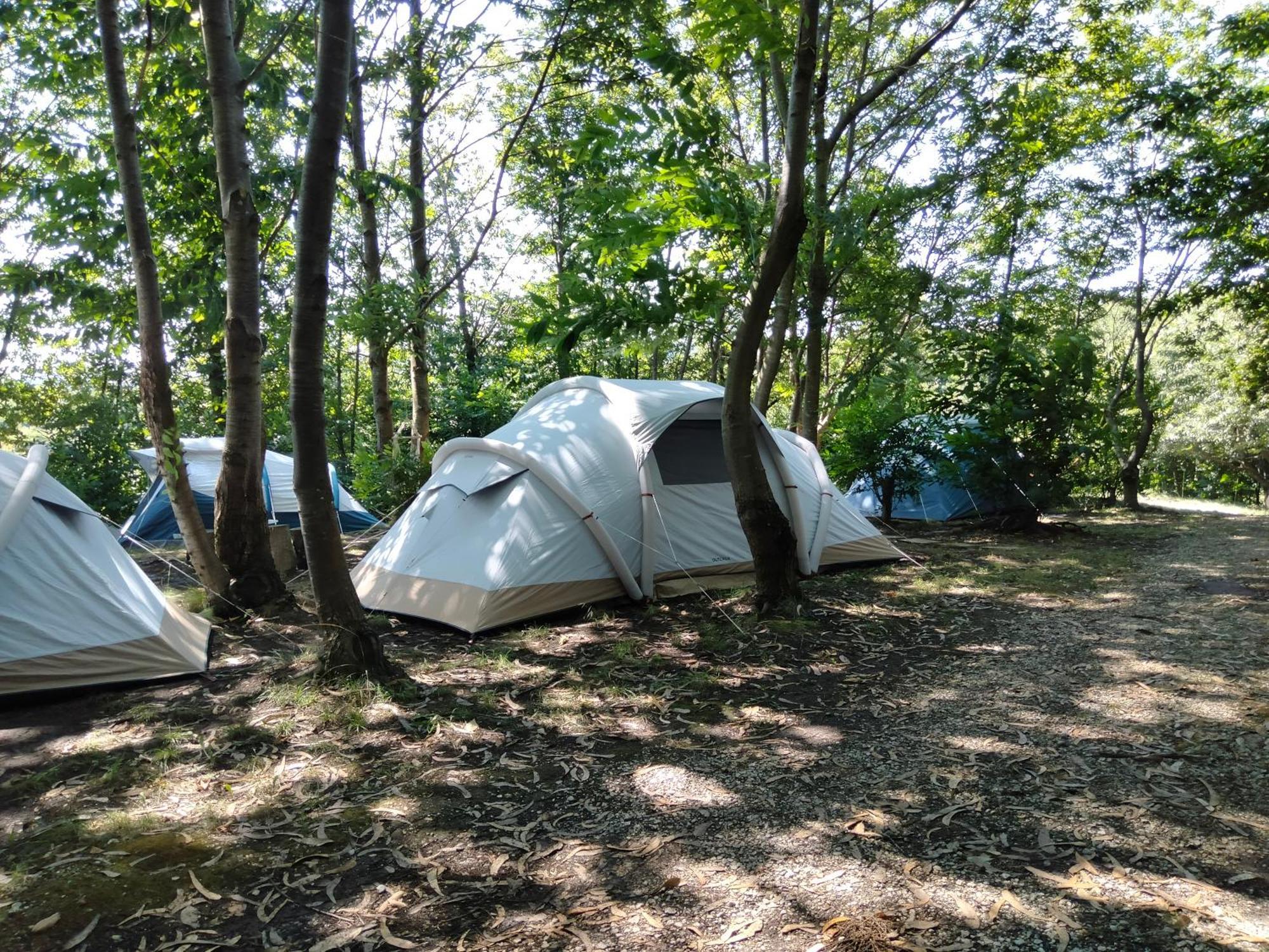 La Finca - Campamento En La Naturaleza Carranceja Zimmer foto
